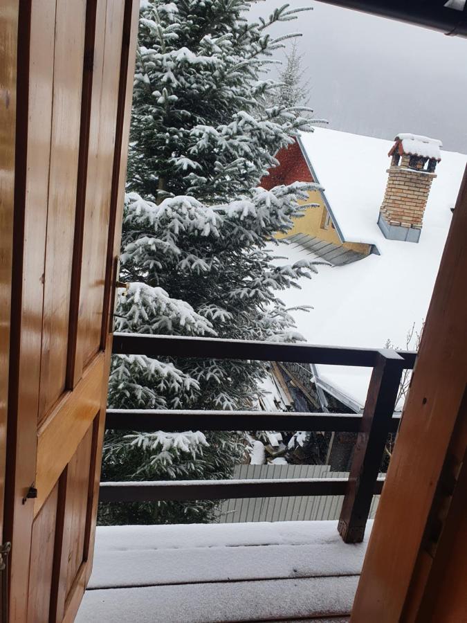 Vila Panselutelor 6 Sinaia Esterno foto