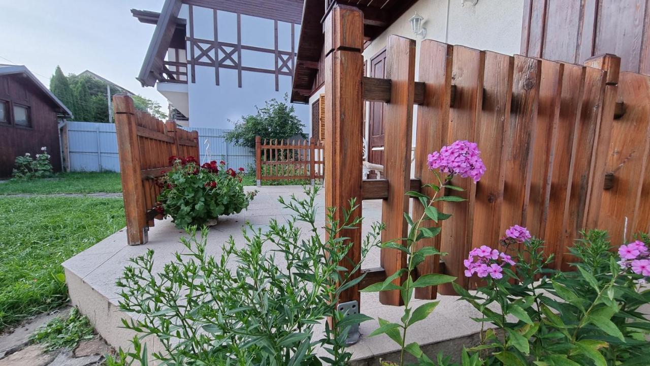 Vila Panselutelor 6 Sinaia Esterno foto