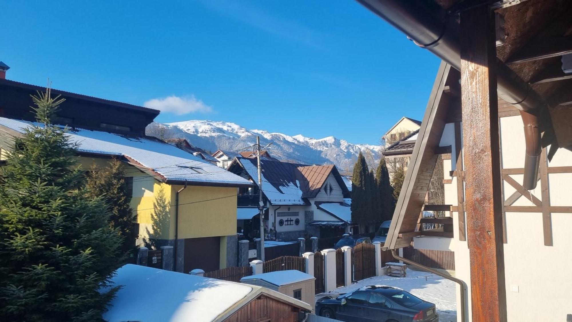 Vila Panselutelor 6 Sinaia Esterno foto